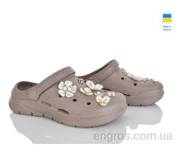 Кроксы Golden Lion